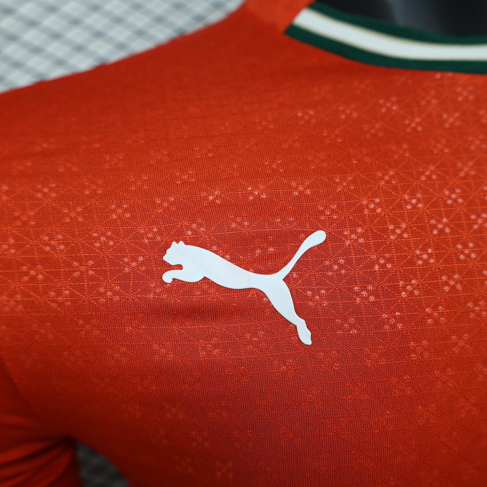 2025/2026 Portugal Home Long Sleeves Football Jersey(Player Edition)