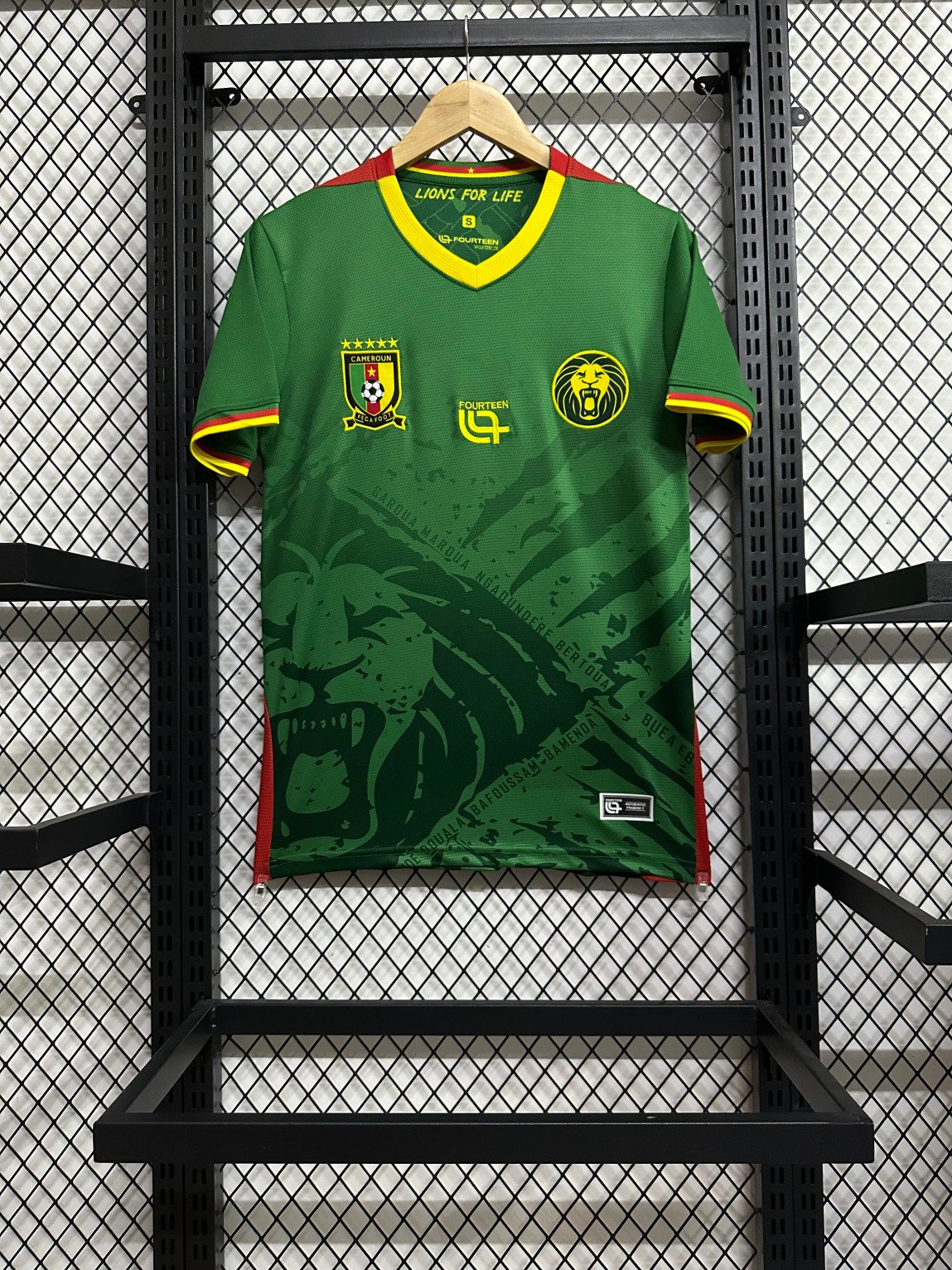 2025/2026 Cameroon Home Football Shirt( Fans Edition )