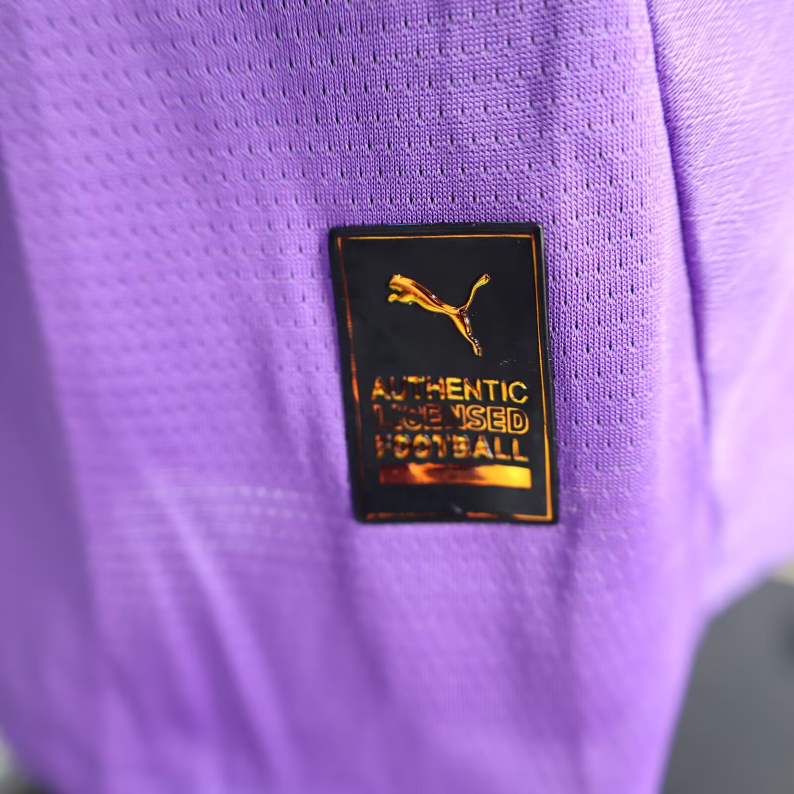 25/26 Dortmund Purple Goalkeeper Jersey(Player Version)