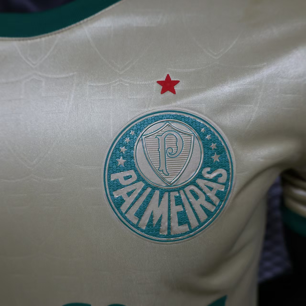 2024/2025 Palmeiras Anniversary Edition Jersey(Player Edition)
