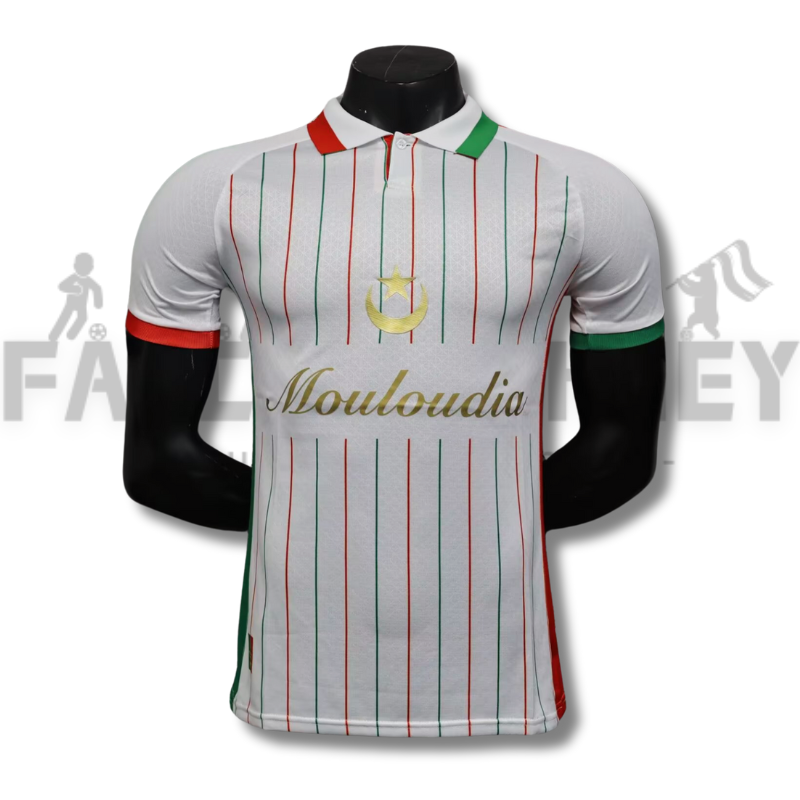 2025/2026 Palestine Football Shirt( Player Edition )