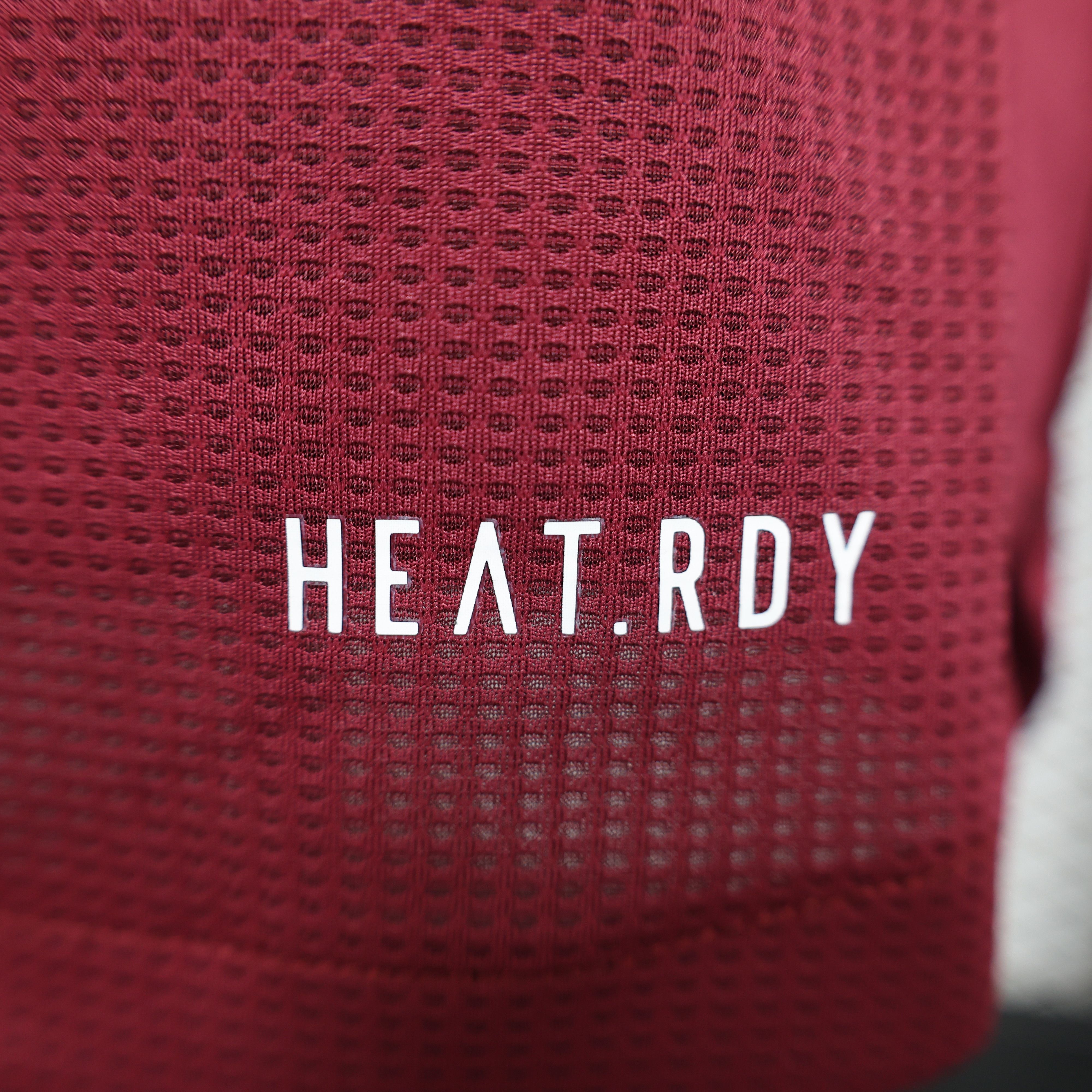 2024/2025 Aston Villa Home Football Jersey(Players Edition )