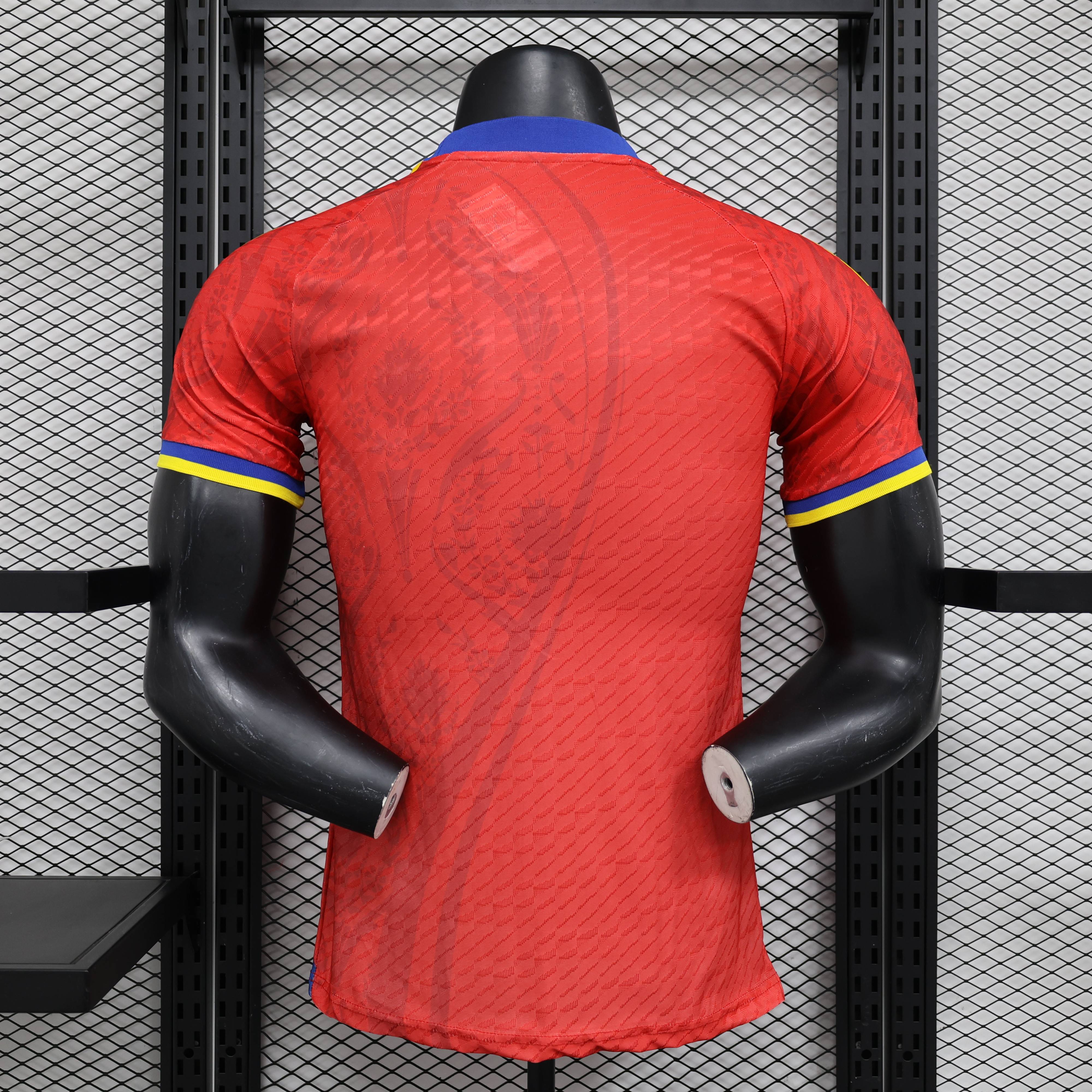 2024/2025 Spain Special Edition Football Jersey(Players Edition )