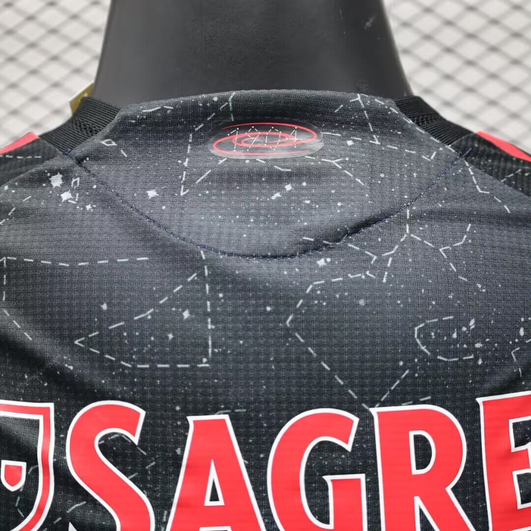 2024/2025 Benfica Away Jersey(Player Version)