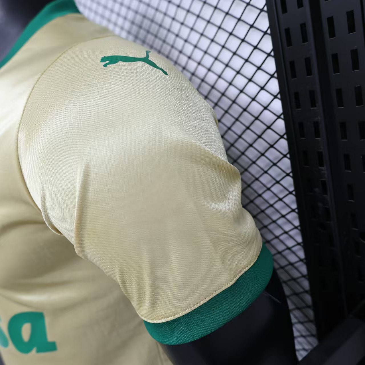 2024/2025 Palmeiras Anniversary Edition Jersey(Player Edition)