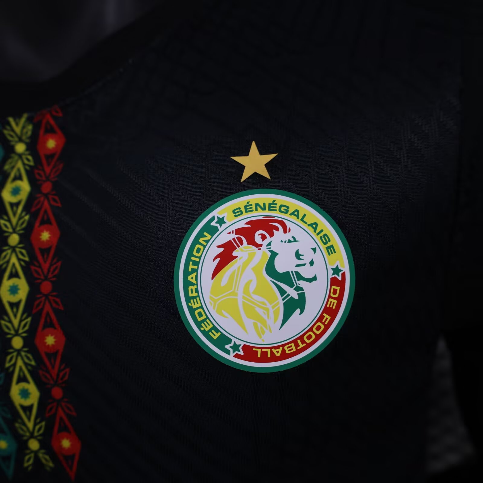 2024/2025 Senegal Black Special Edition Football Shirt( Player version)