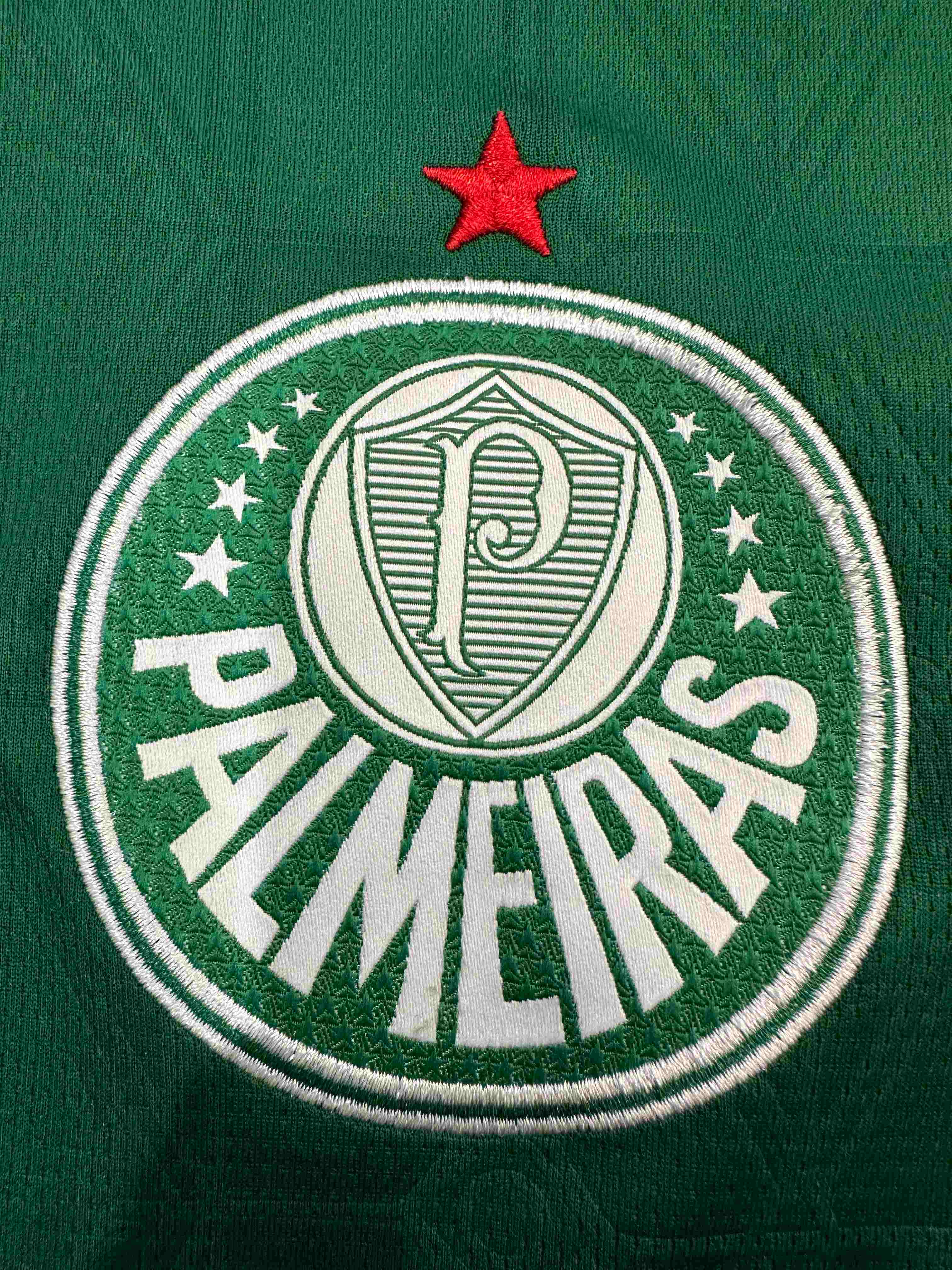 25/26 Palmeiras Home Football Shirt(Fans version)