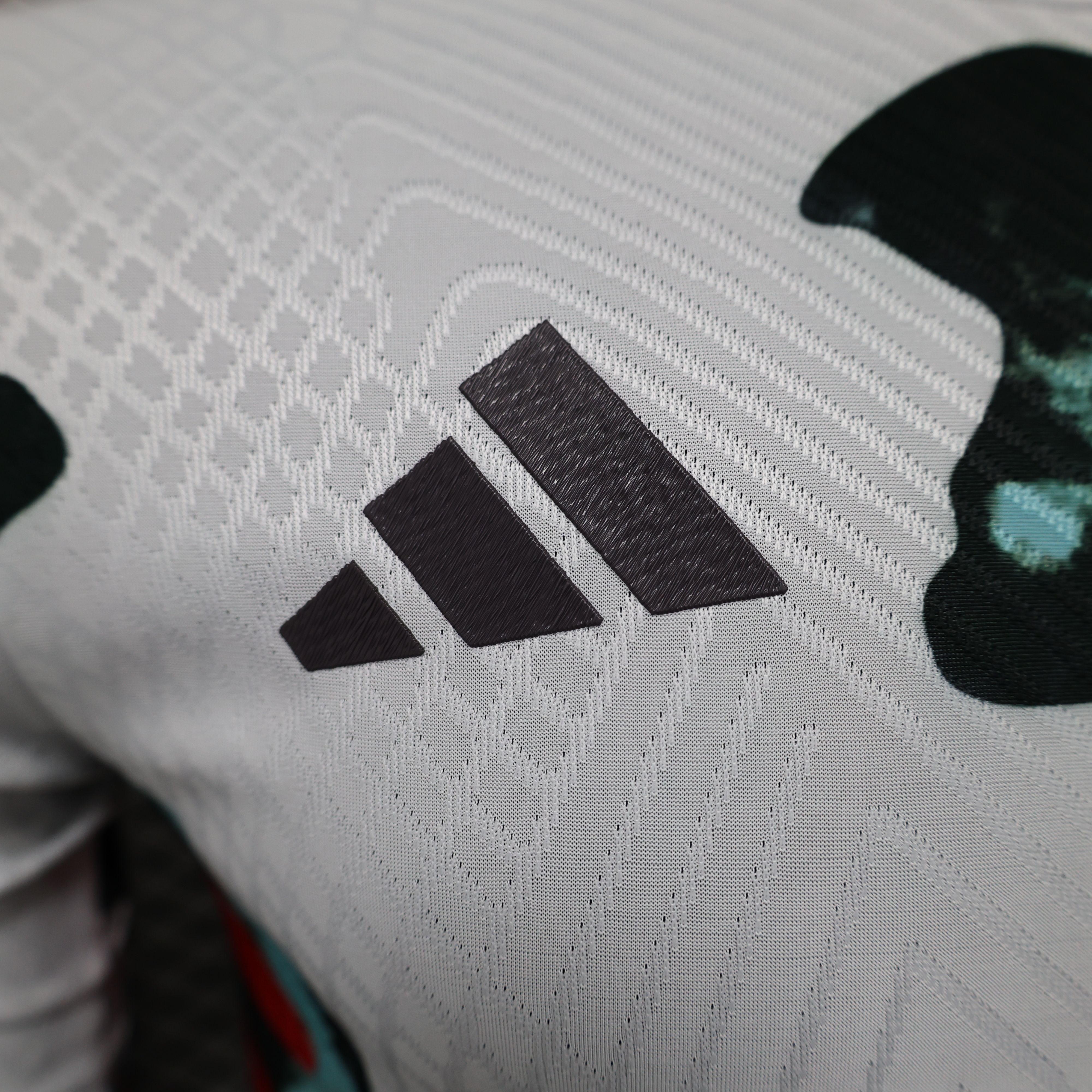 2024/2025 Bayern Special Edition Football Jersey For Player Version