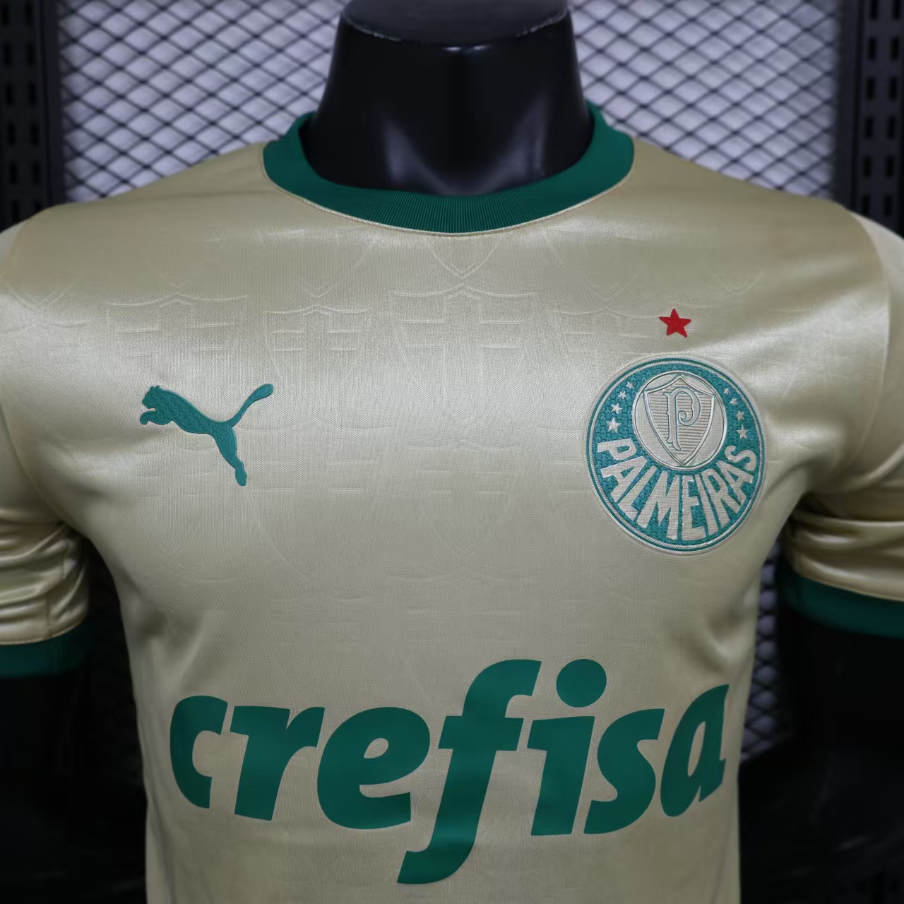 2024/2025 Palmeiras Anniversary Edition Jersey(Player Edition)