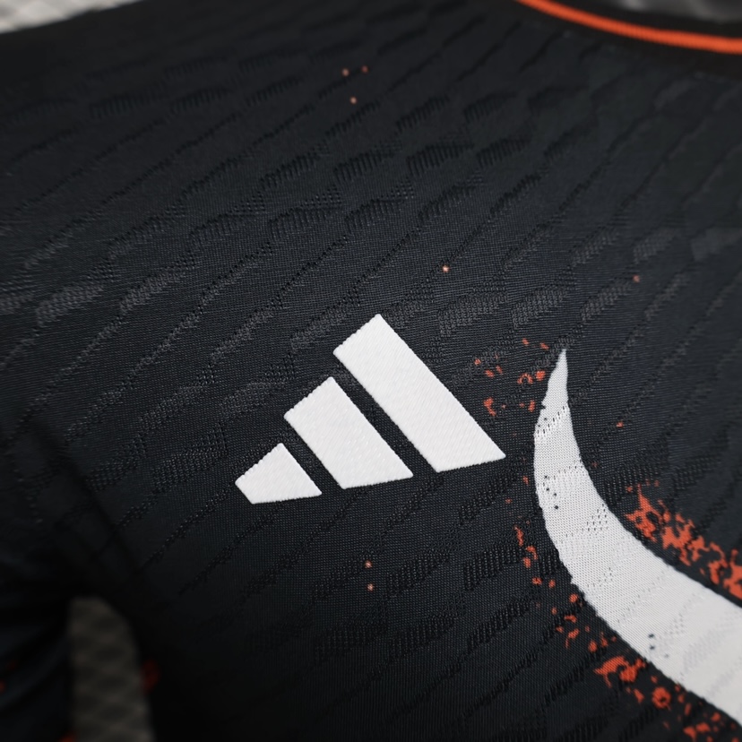 2024/2025 Players Edition Japan Special Edition Football Jersey