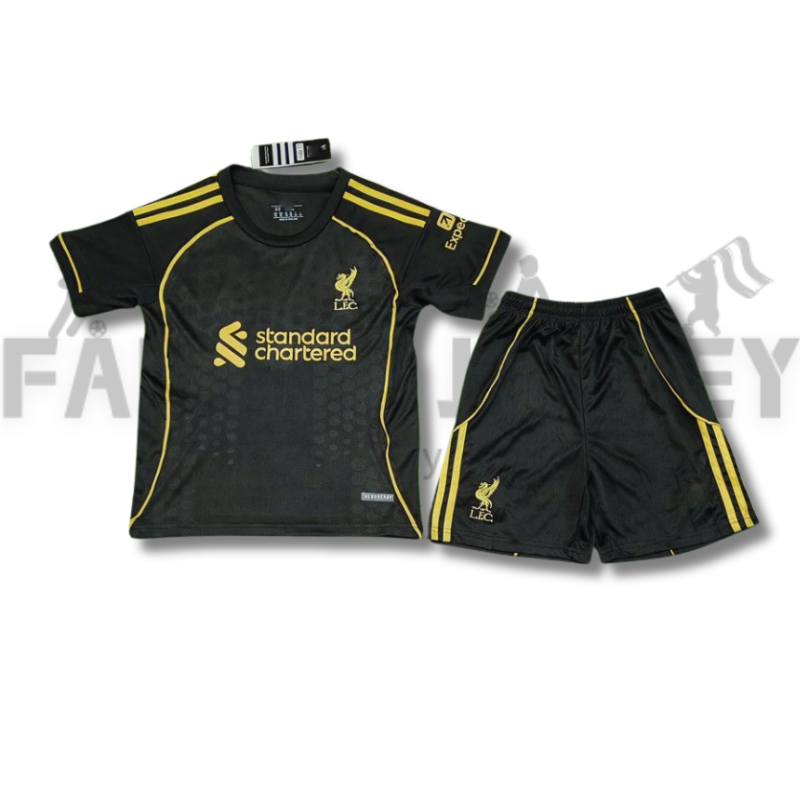 2025/2026 Liverpool Special Football Shirt(For Kids)