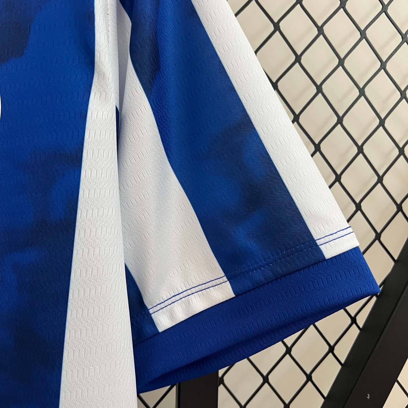 2024/2025 Porto Home Jersey(Fans Version)
