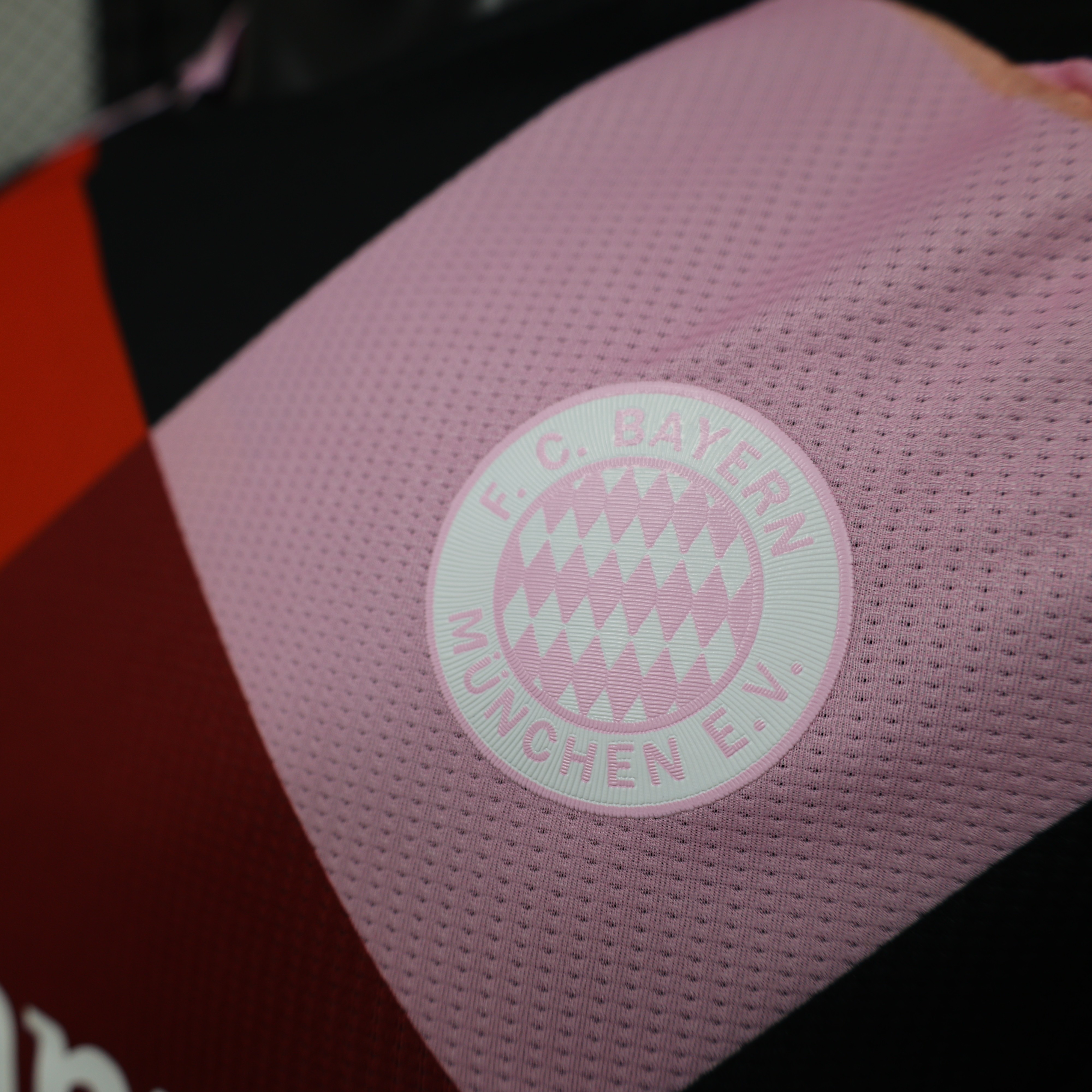 2024/2025 FC Bayern Training Jersey Football Jersey For Player Version