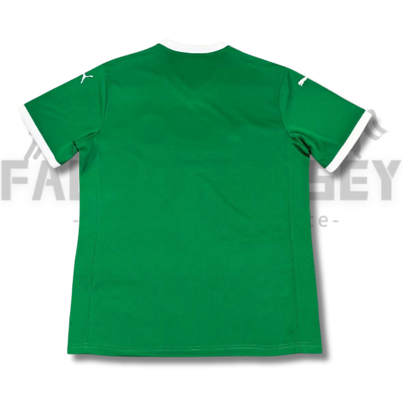 25/26 Palmeiras Home Football Shirt(Fans version)