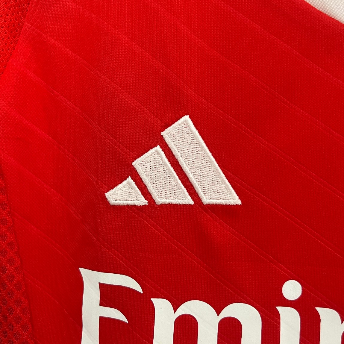 2024/2025 Benfica Home Jersey(For Kids)