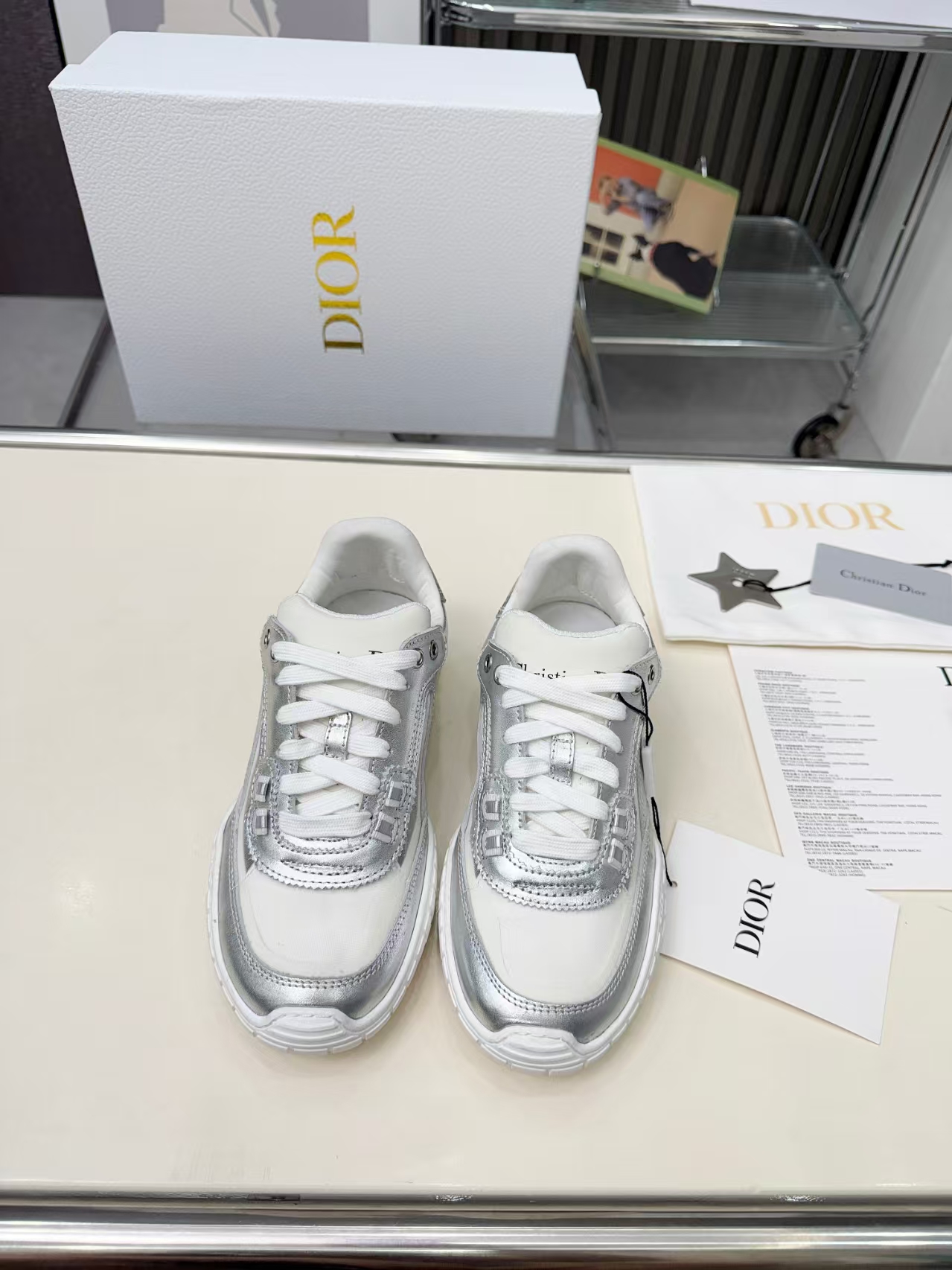 DIOR Ttech Sneakers in Silver & White