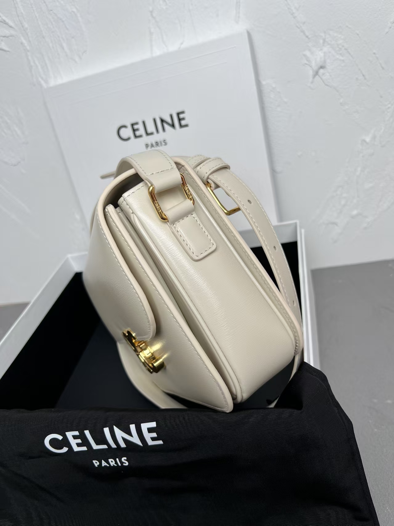 The Celine TRIOMPHE Bag