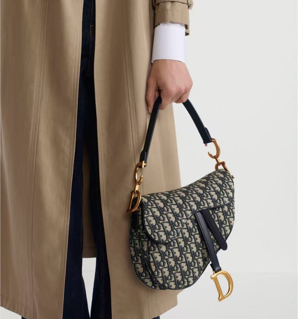DIIOR 𝗖𝗗 𝗦𝗮𝗱𝗱𝗹𝗲 Classic Horseback Bag