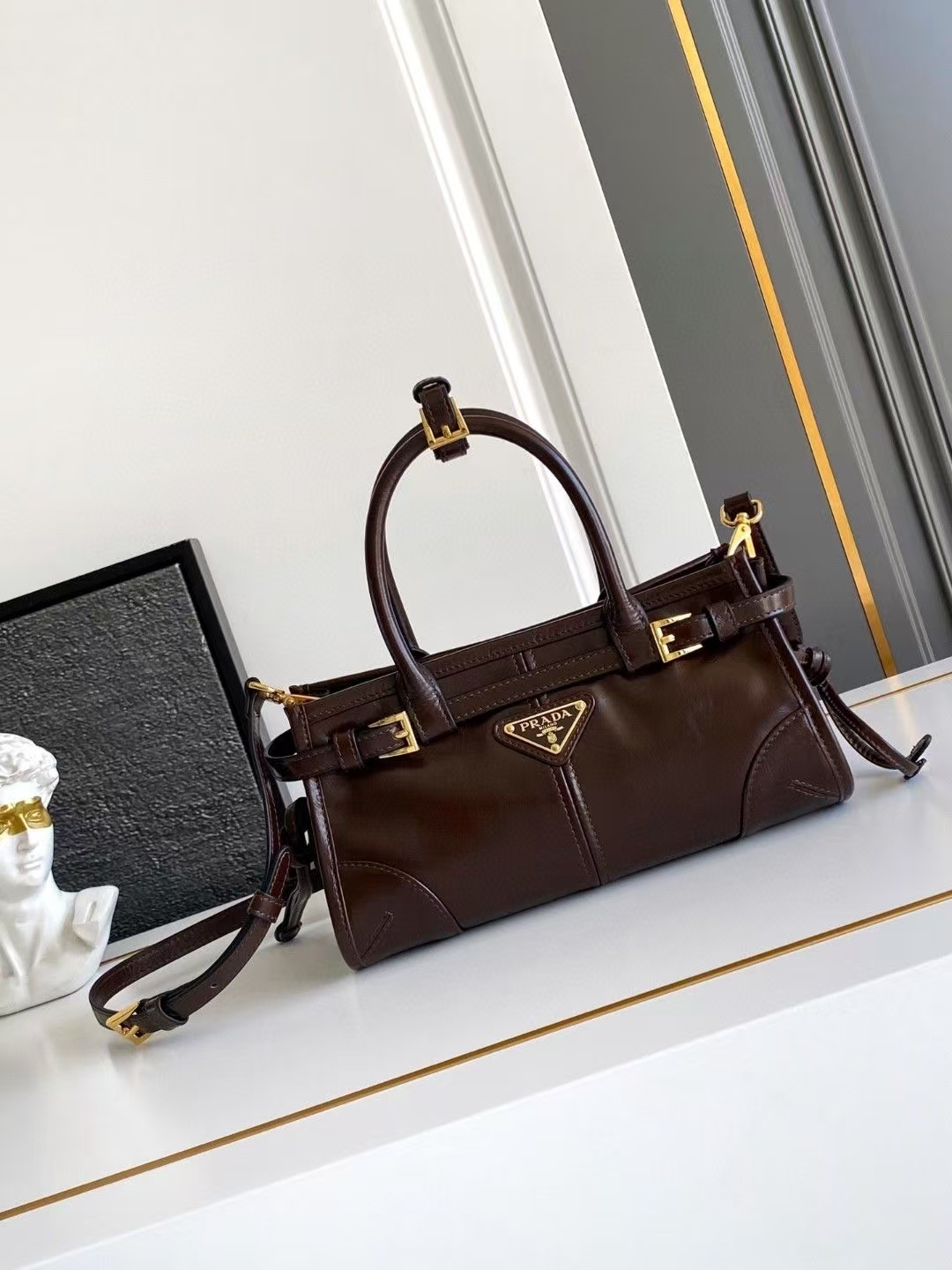 Prada Dark Brown Leather Mini Bonnie Bag | Modern Attitude & Side Buckle Detail