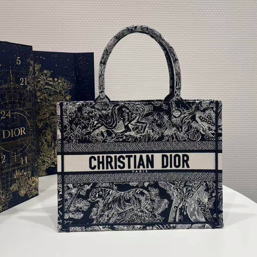 DIOR Medium Book Tote Bag