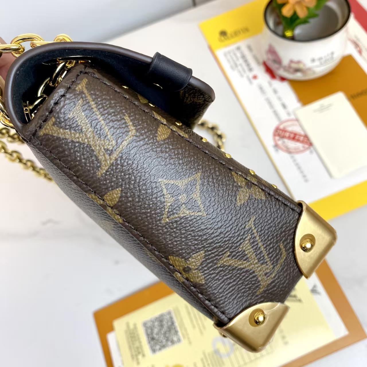 LOUIS VUITTON East West Trunkie Bag