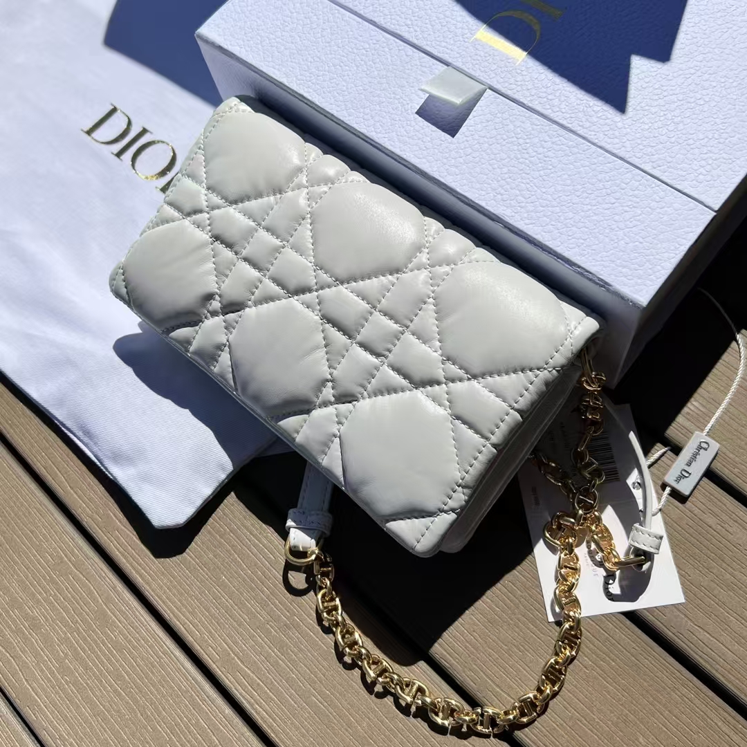 Dior Caro Chain Bag
