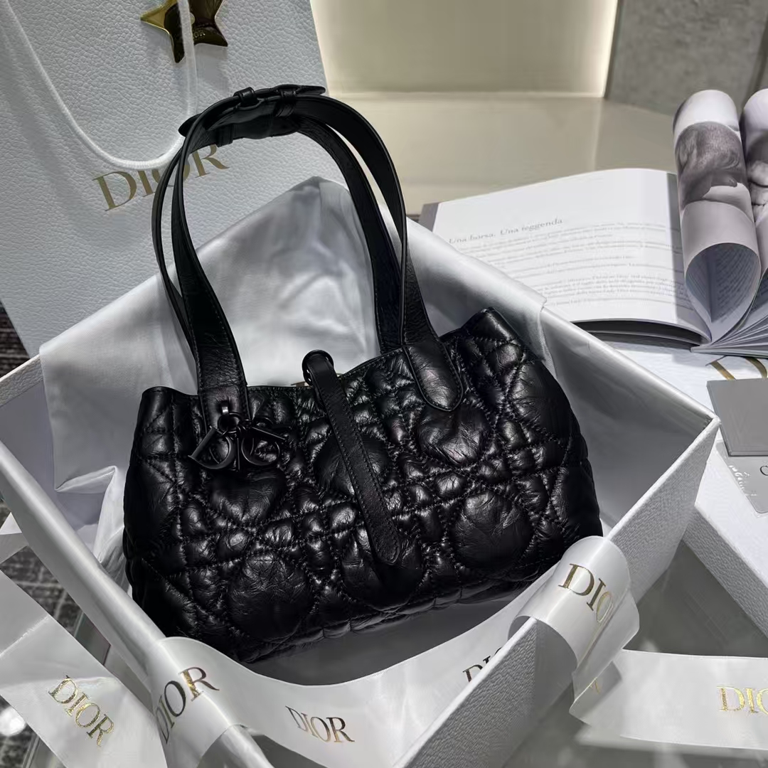 Dior Small Dior Toujours Handbag