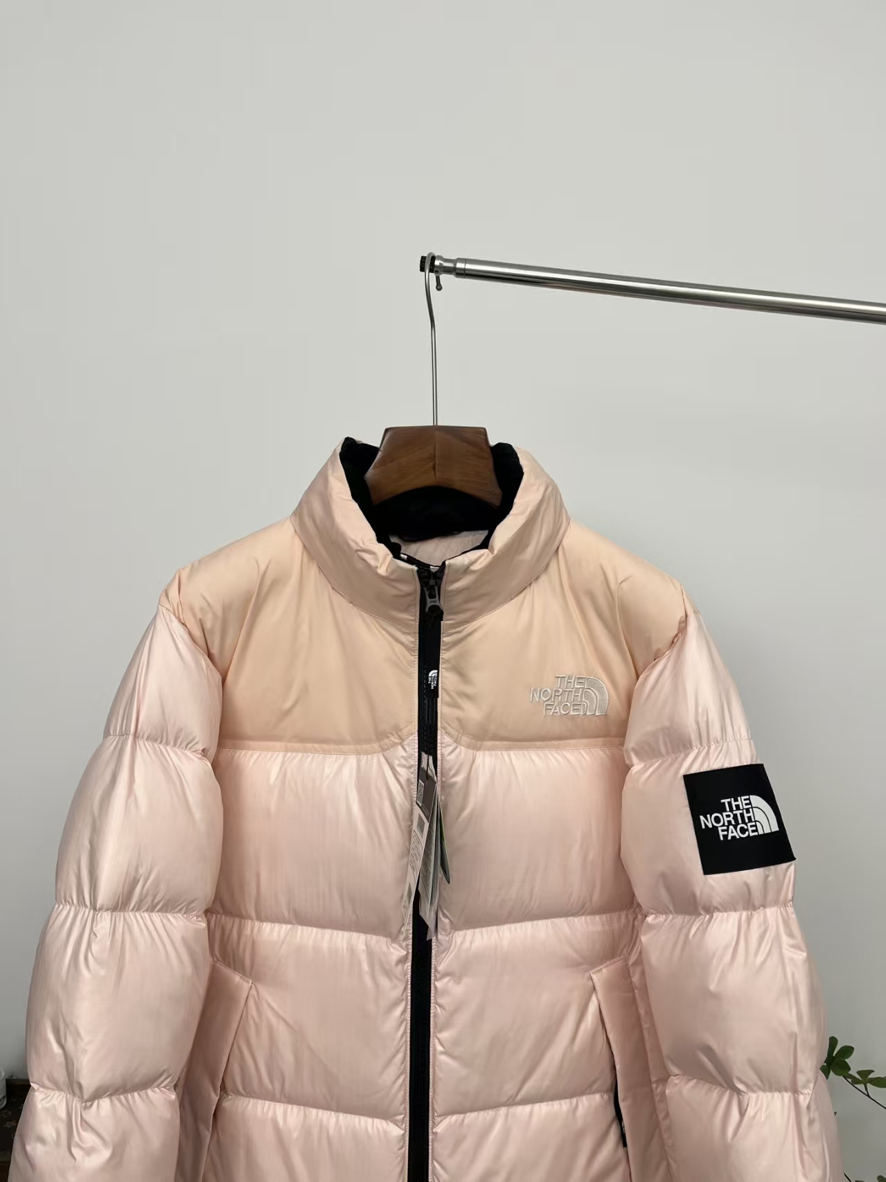 The North Face 22F-WS Nuptse Hoodie Hoodie Down Jacket Pink