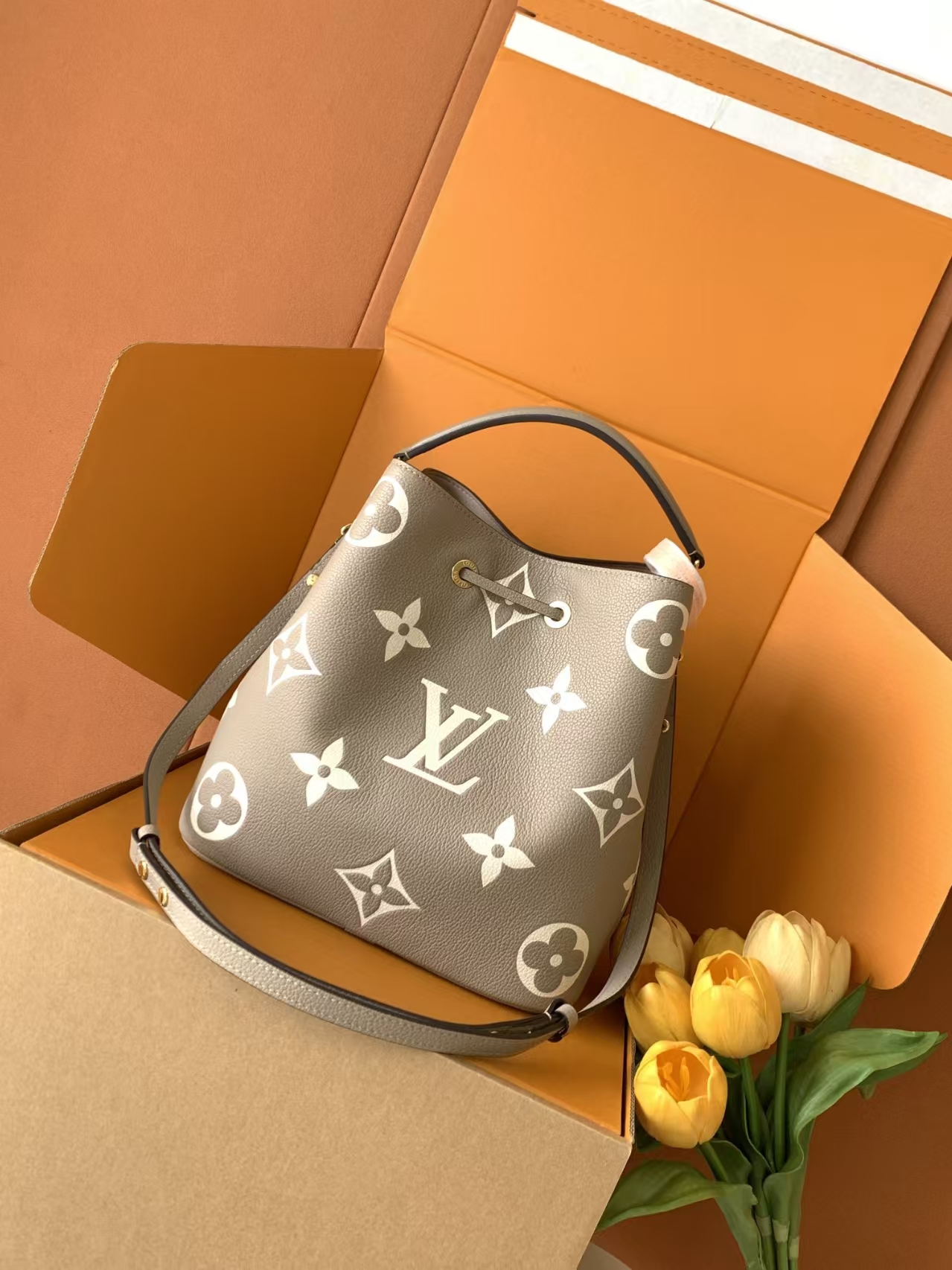 LOUIS VUITTON NéoNoé MM Bucket Bag