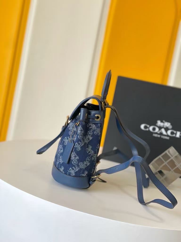 Carriage pattern printed Harper shoulder bag Coach