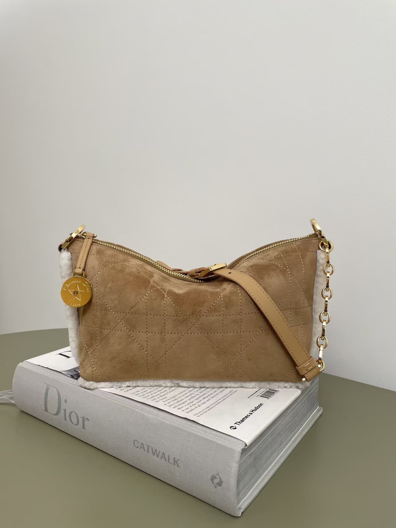 Diorstar Hobo 链条手袋 Dior Star Hobo Chain Bag