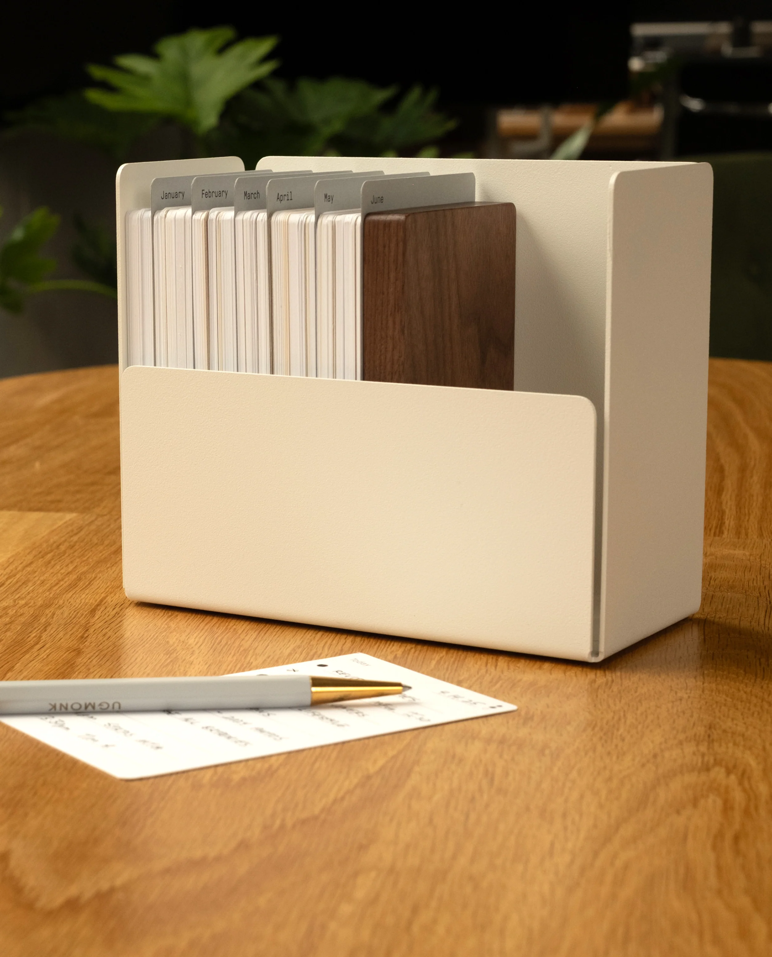 Archive Box (White Steel / Walnut Wood)