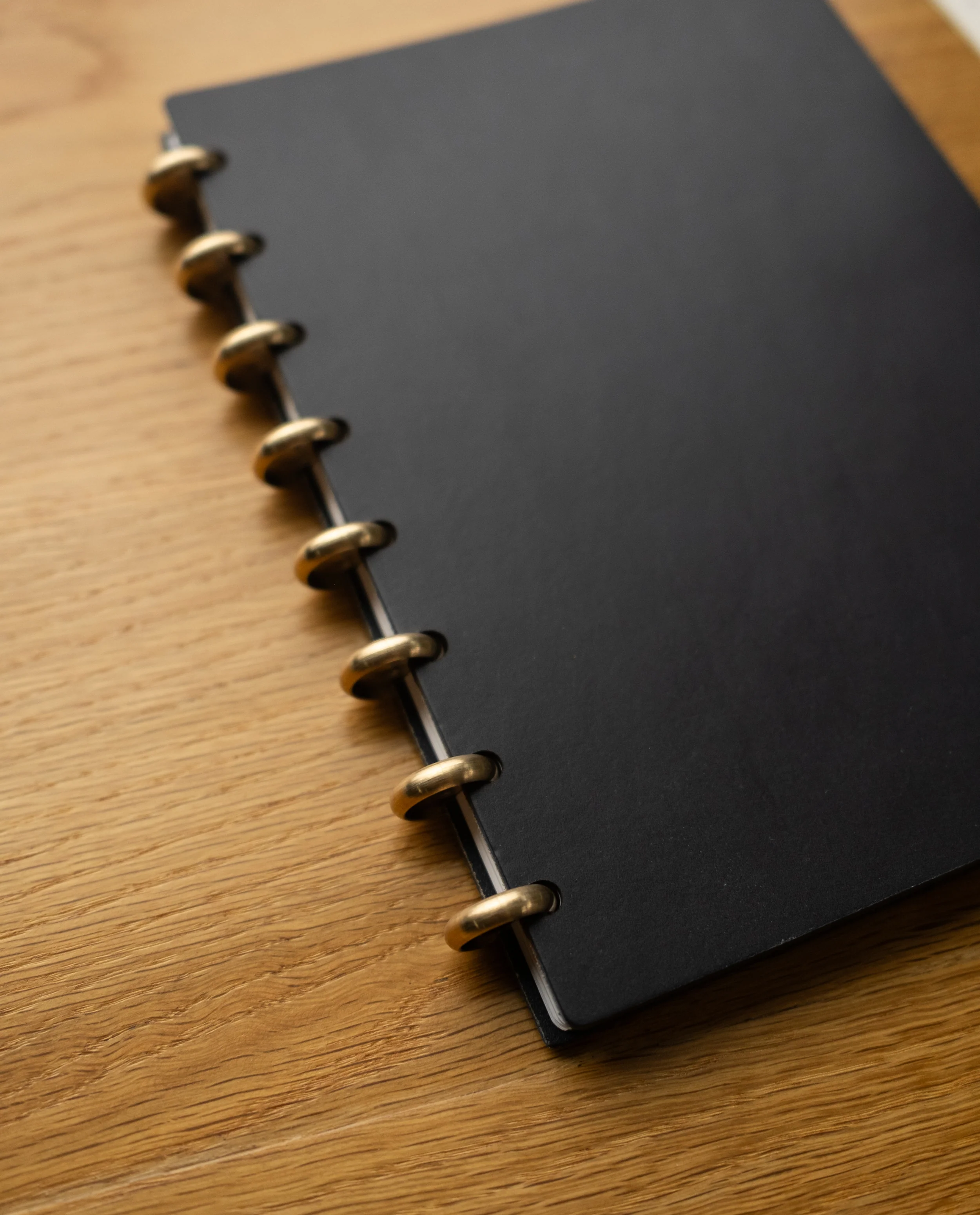 Discbound Heirloom Journal (Black Leather - Standard 6