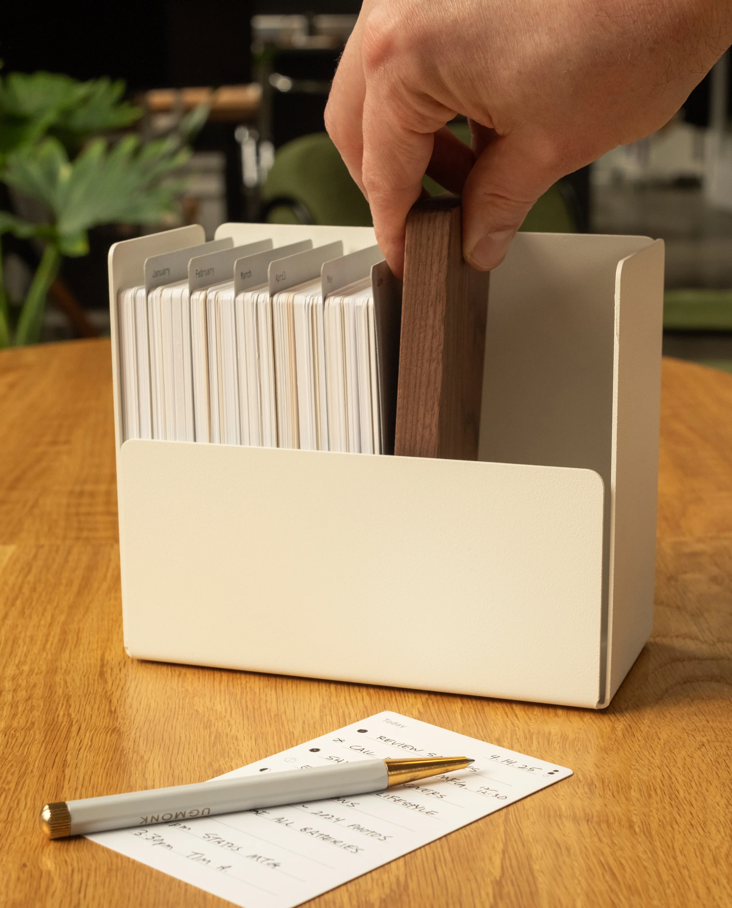 Archive Box (White Steel / Walnut Wood)