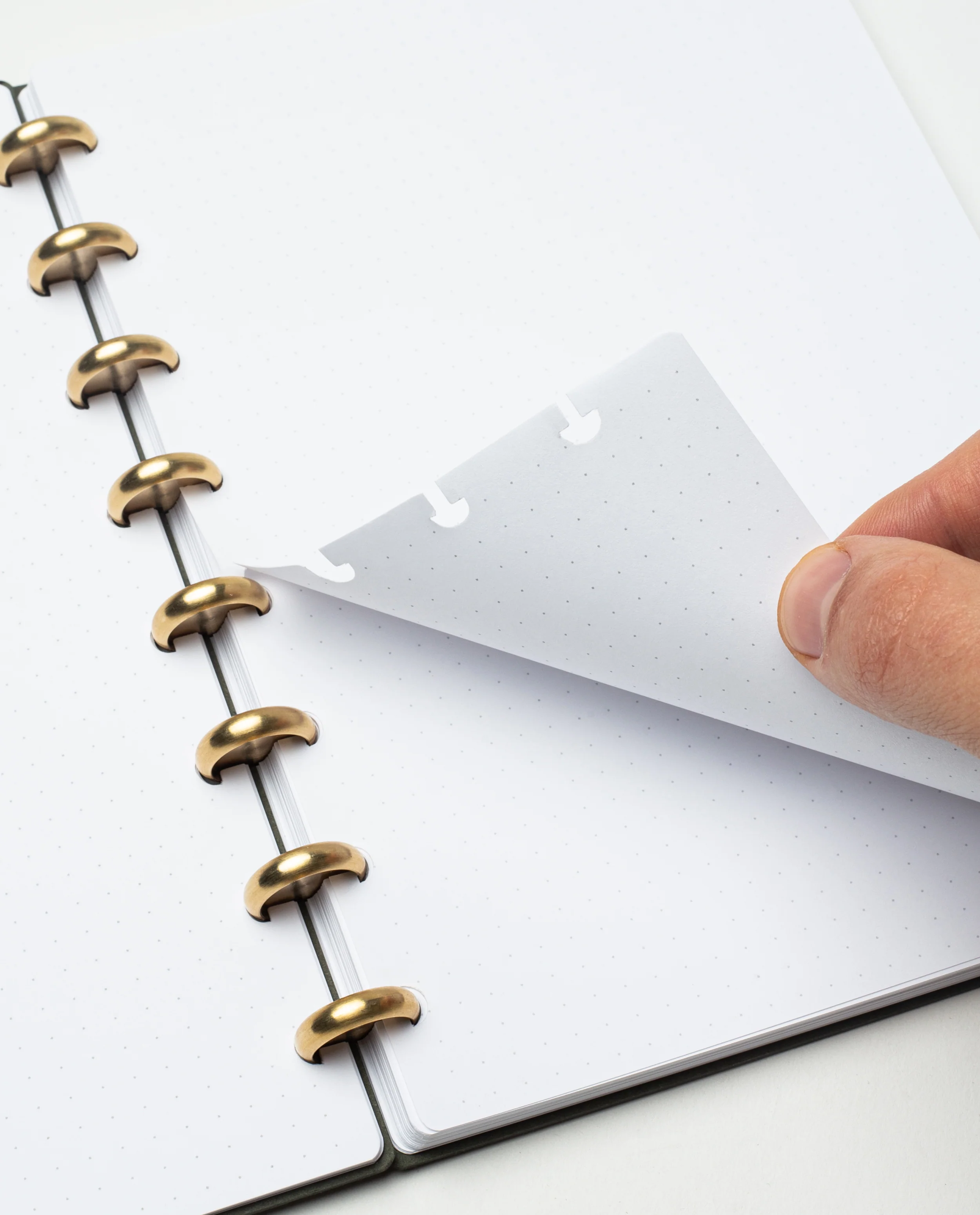 Discbound Journal (Standard 6