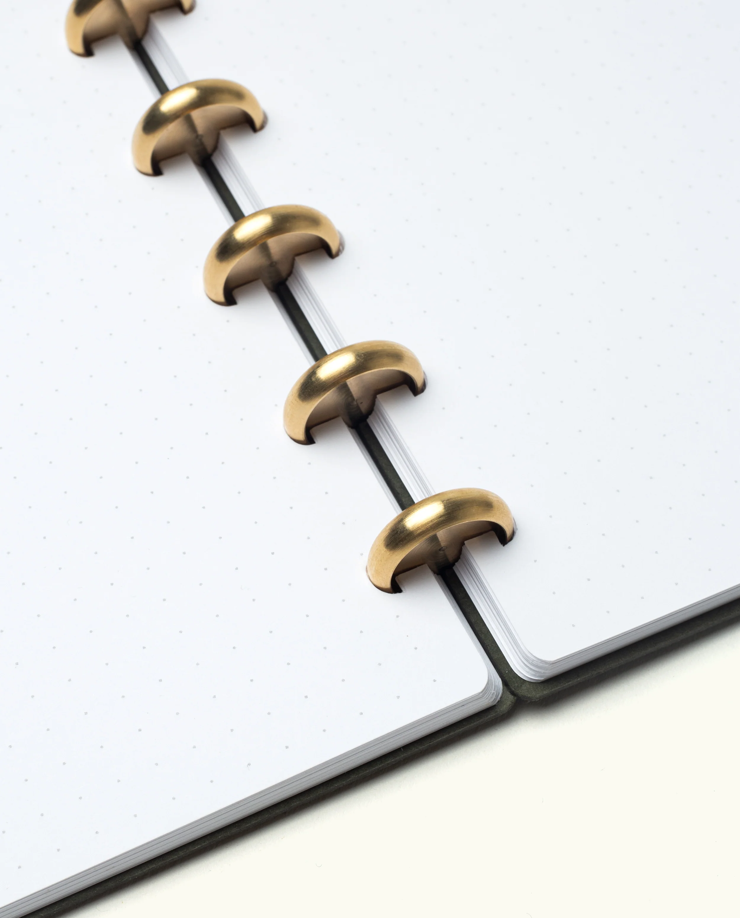 Discbound Journal (Large 8.5