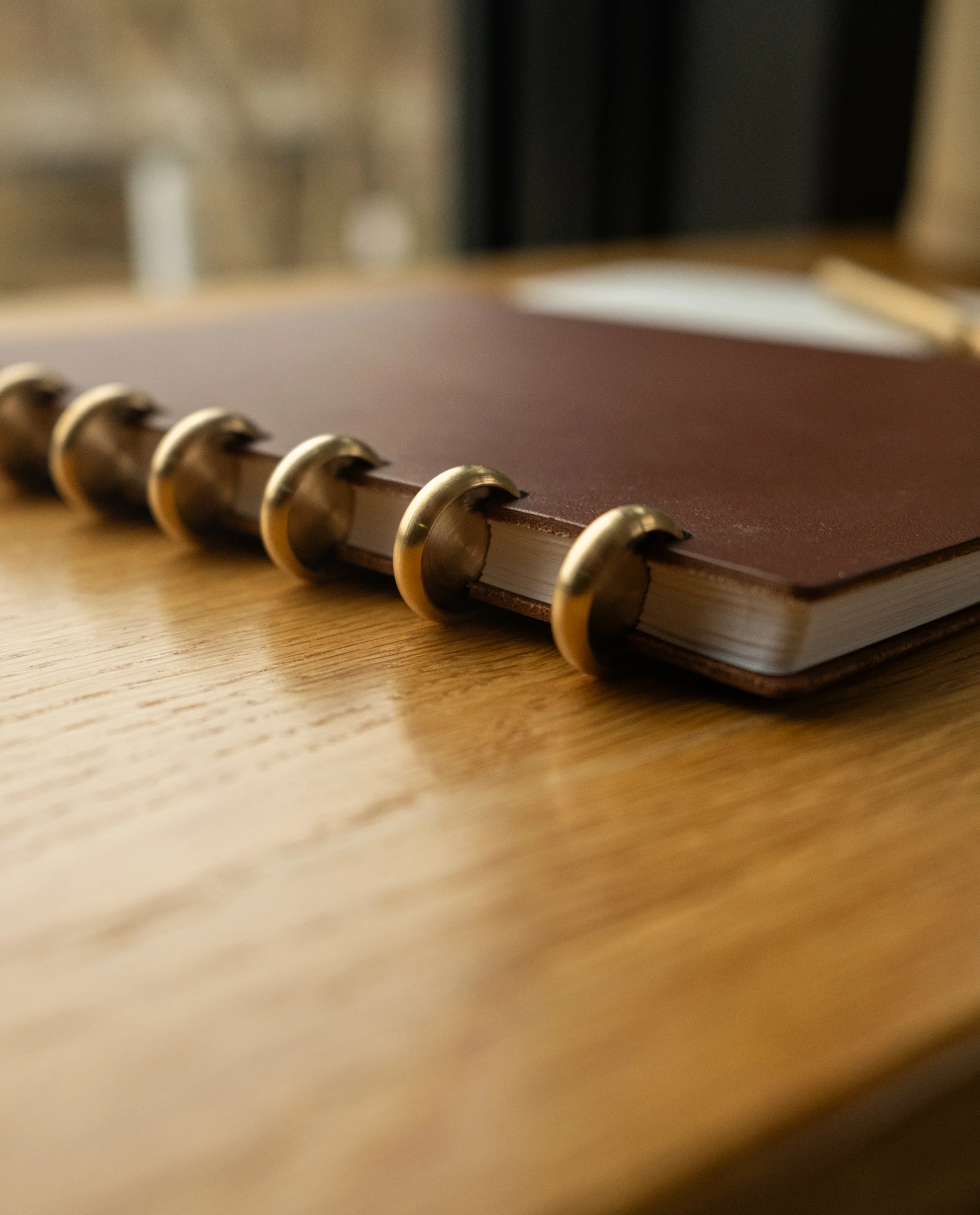 Discbound Heirloom Journal Bundle (Brown Leather 6