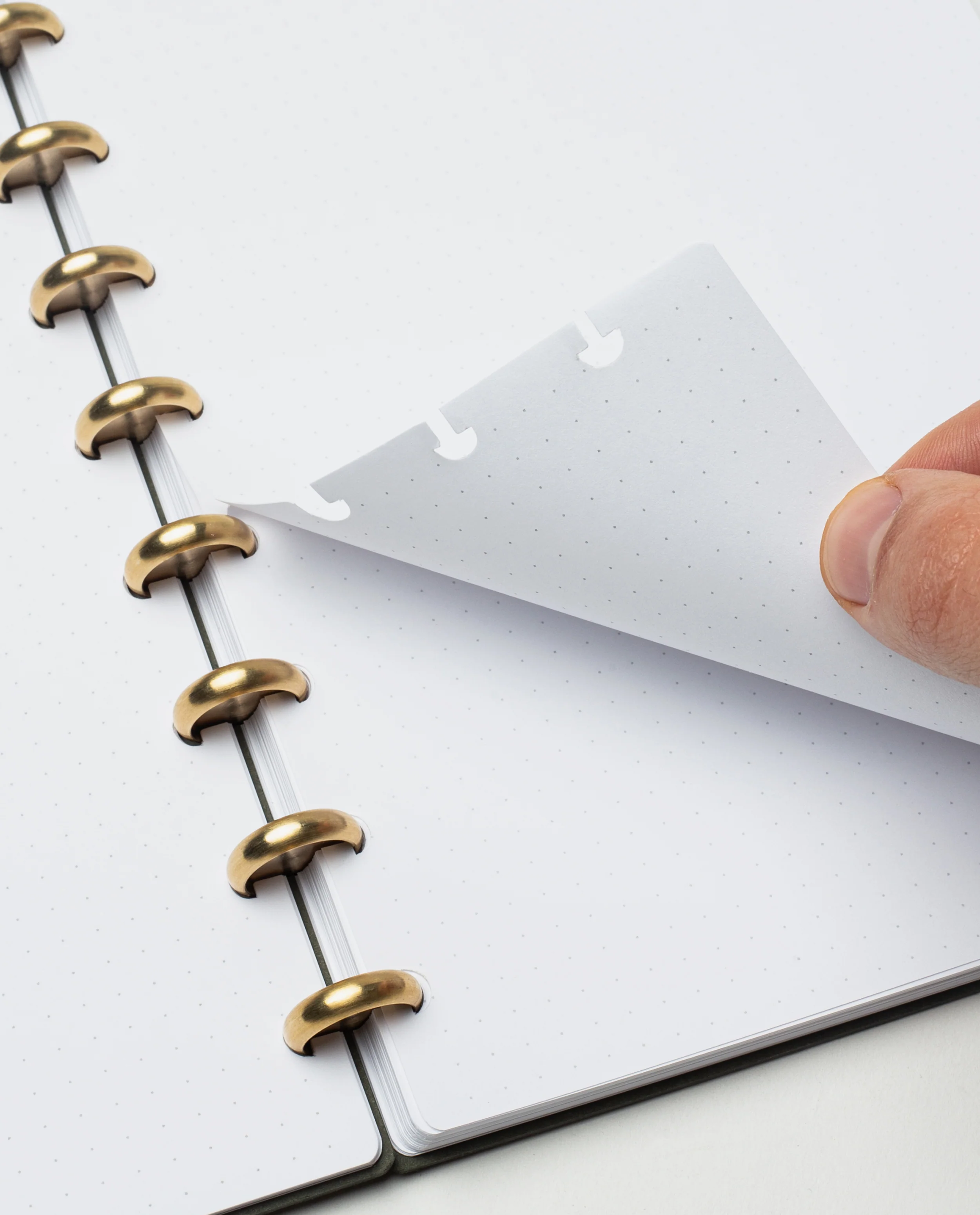 Discbound Journal (Large 8.5