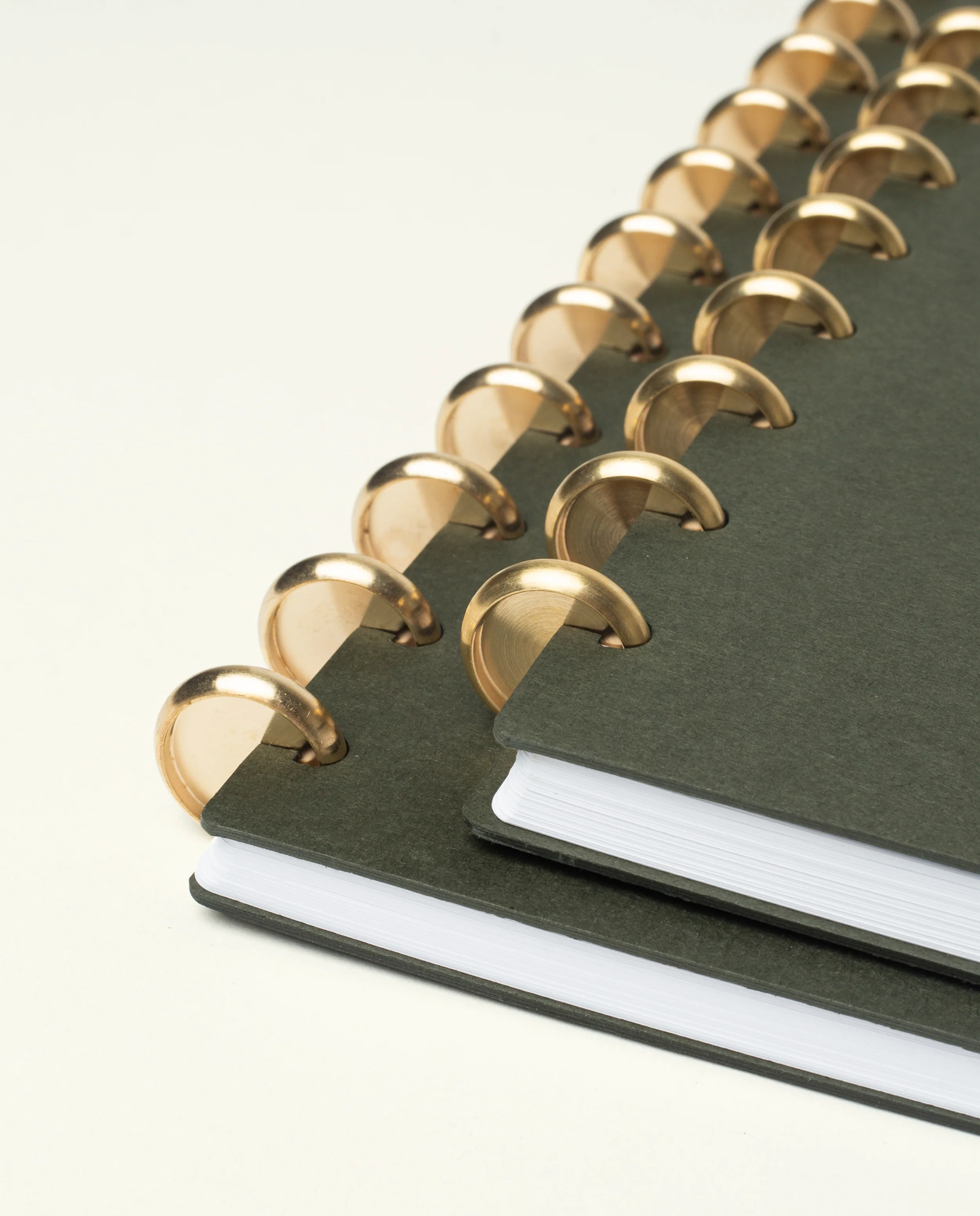 Discbound Journal Bundle (8.5