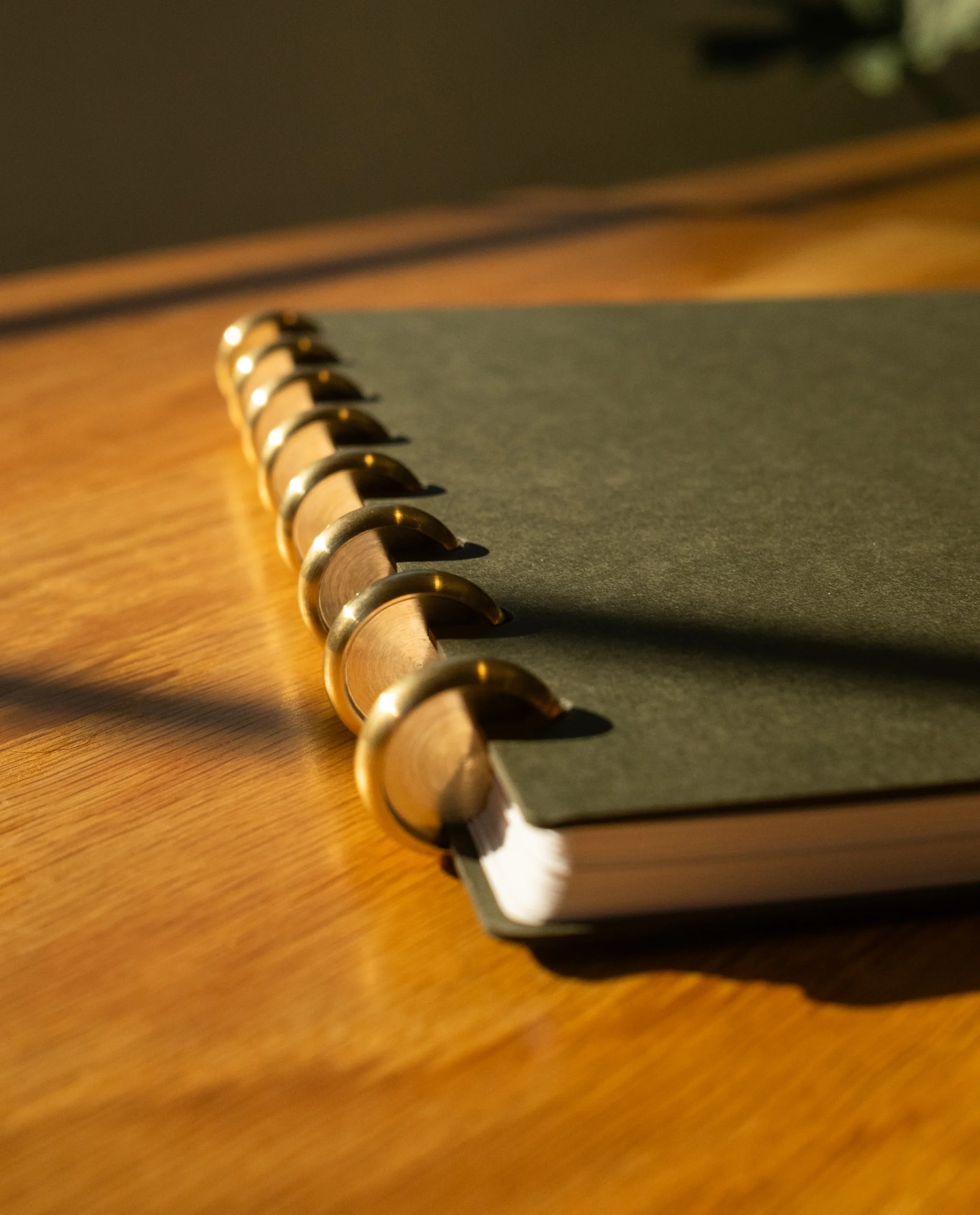 Discbound Journal (Standard 6