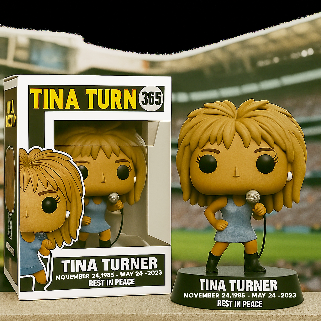Tina Turner โ€“ โ€Queen of Rockโ€ Collector Figure