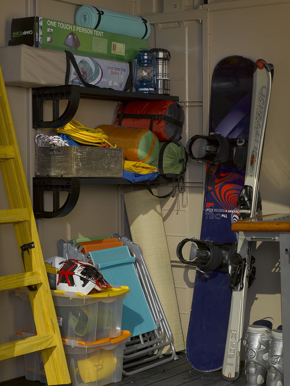 Factor 8 ft. W x 6 ft. D Plastic Storage Shed