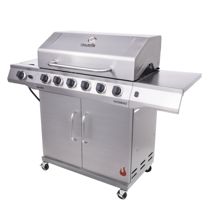 6-Burner Gas Grill