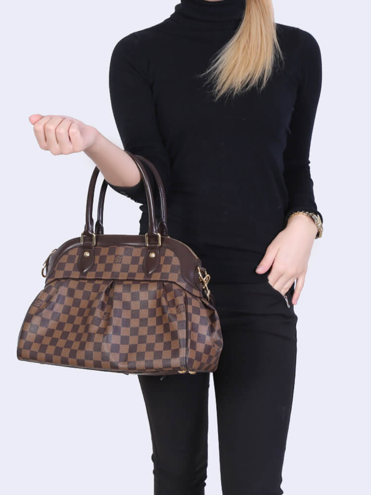 Louis Vuitton Damier Ebene Trevi PM N51197
