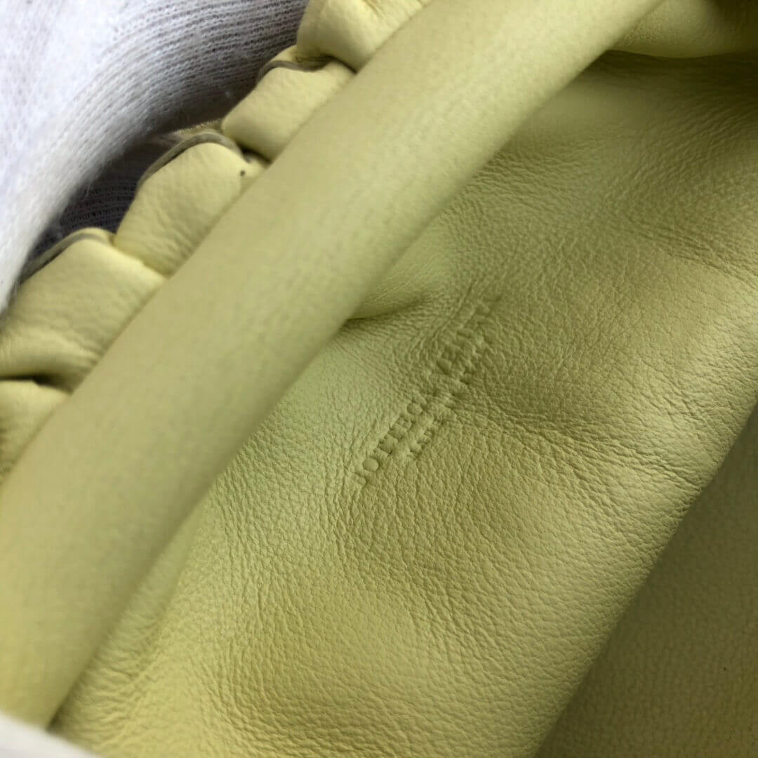 Bottega Veneta Woven Leather The Pouch 20 585852