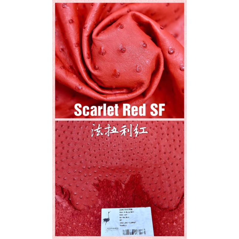 Hermes makes exclusive leather wild South African ostrich leather:95 Ferrari red