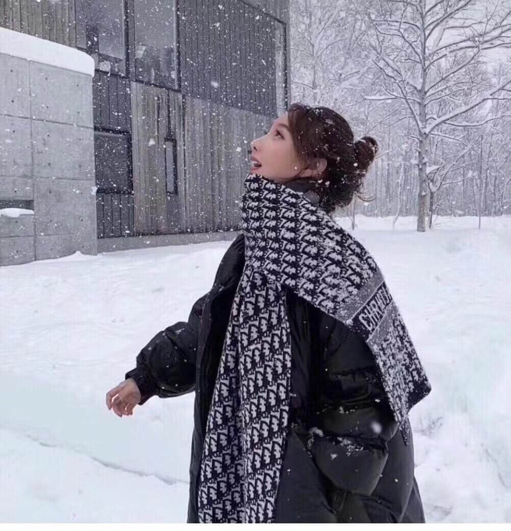 Dior CD Oblique Stole In Wool And Cashmere 3I171