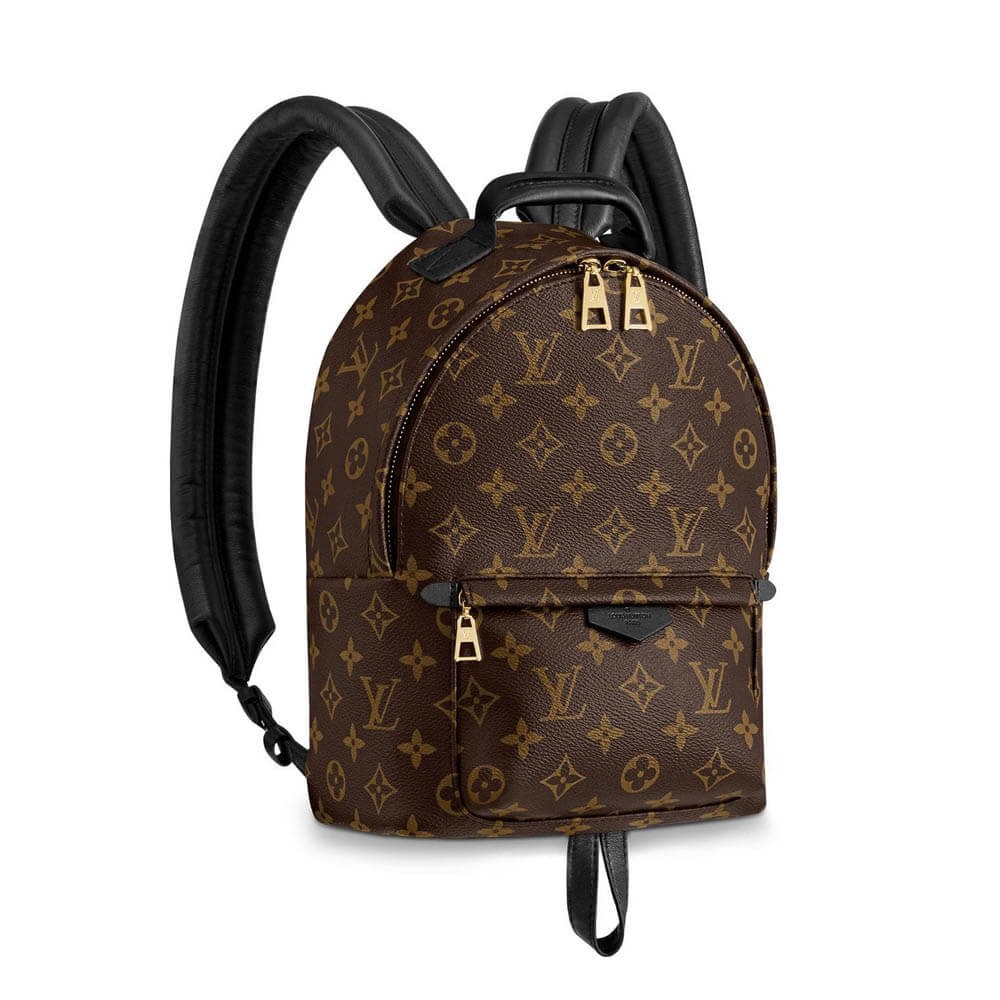 Louis Vuitton Monogram Canvas Palm Springs Backpack PM M41560