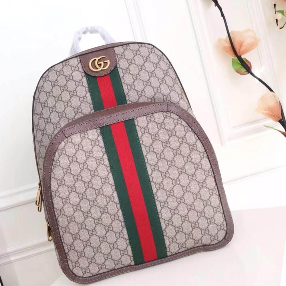 Gucci Ophidia GG Medium Backpack 547967