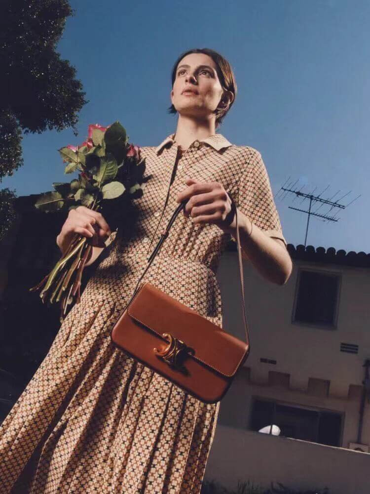 Celine Triomphe Shoulder Bag In Natural Calfskin 194143